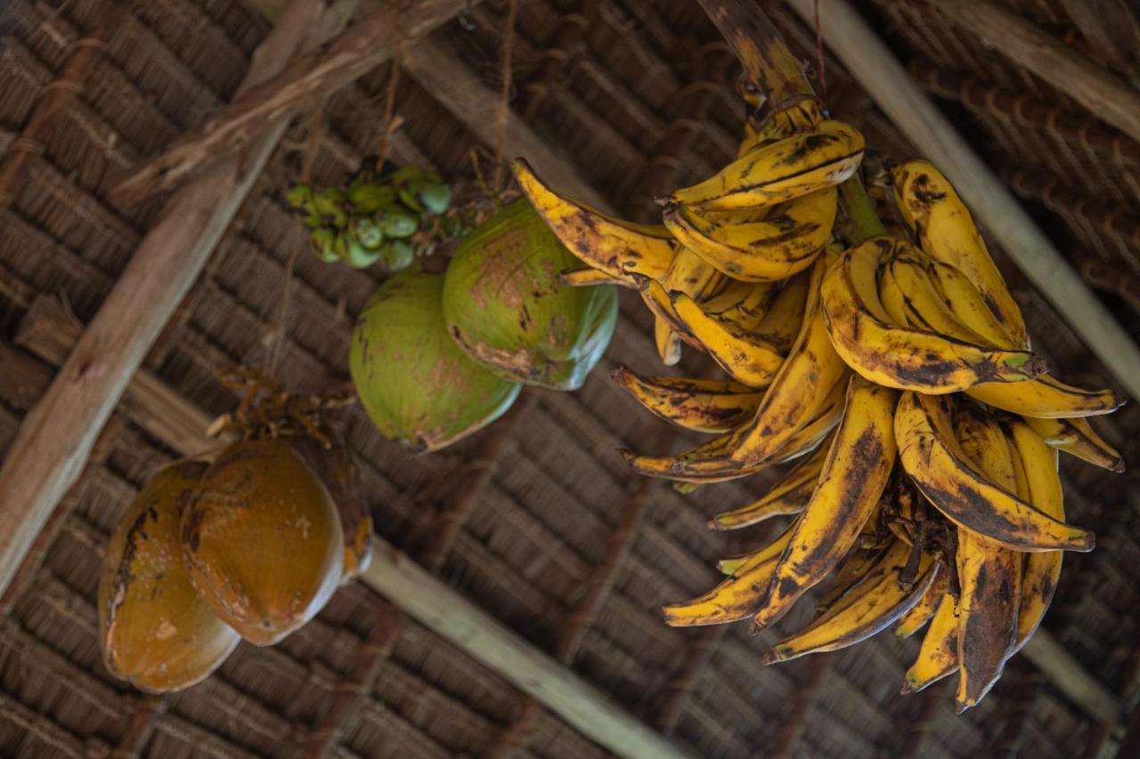 Afriican Village Zanzibar Michamvi Kae Экстерьер фото