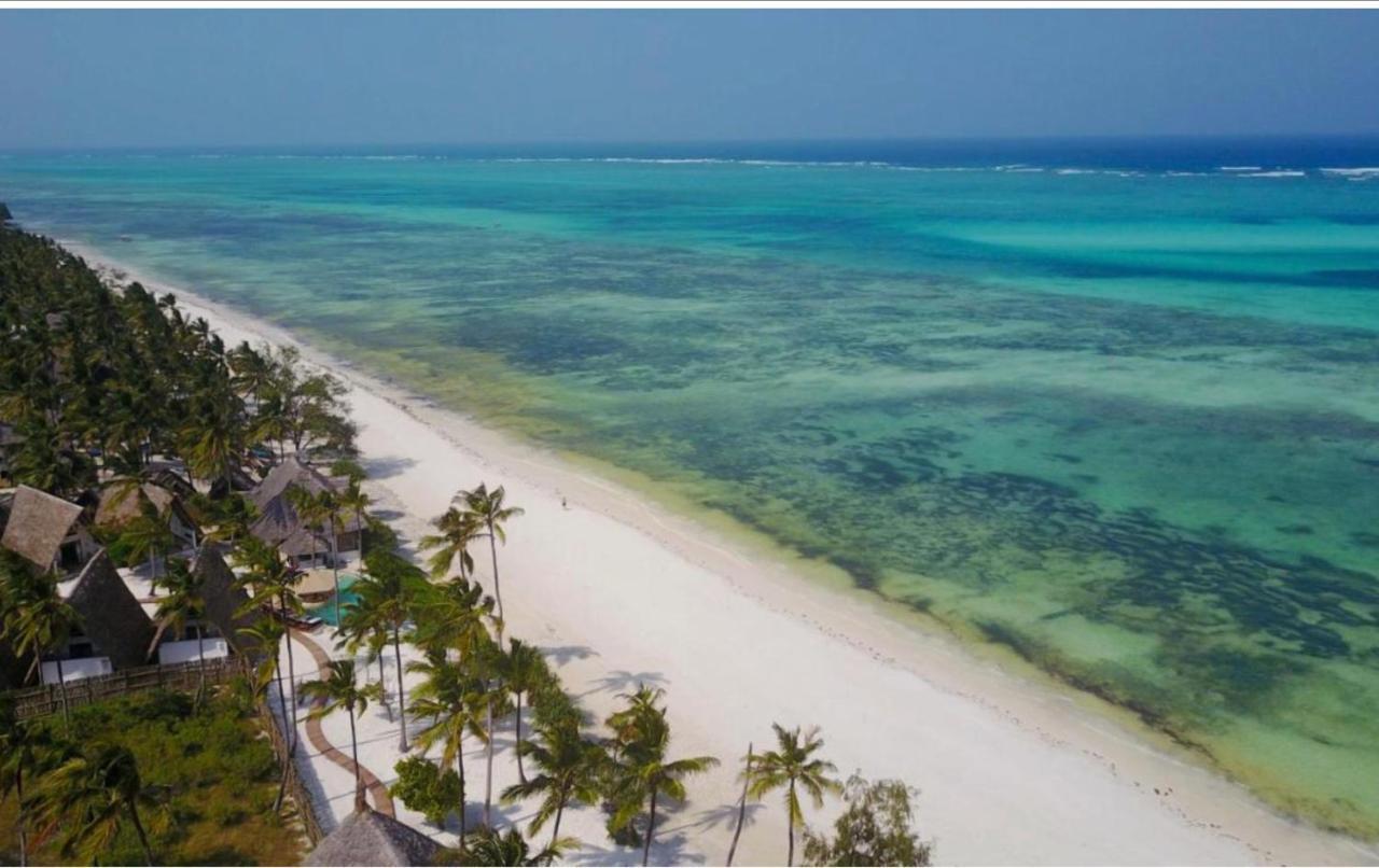 Afriican Village Zanzibar Michamvi Kae Экстерьер фото