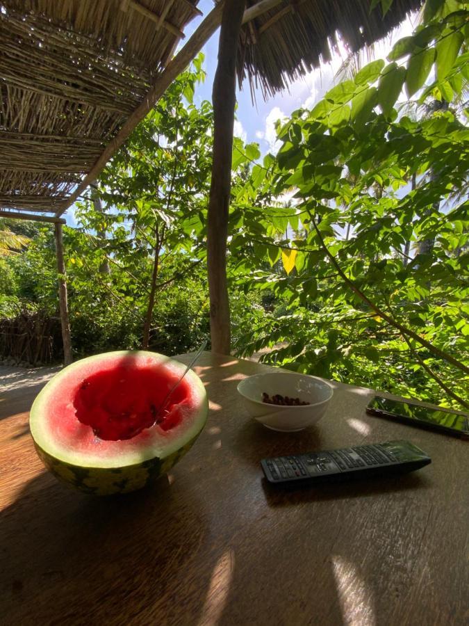 Afriican Village Zanzibar Michamvi Kae Экстерьер фото