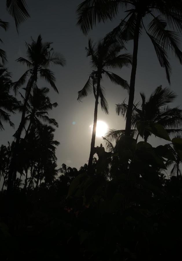 Afriican Village Zanzibar Michamvi Kae Экстерьер фото